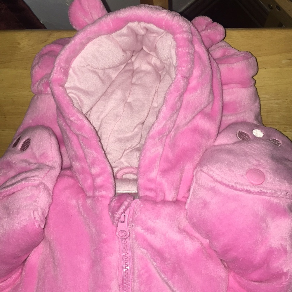 bear snow suit